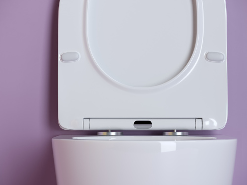 картинка CN11001 Подвесной унитаз Uno Rimless, глубокий смыв, с крепежом для полностью скрытого монтажа,  уль от магазина Сантехстрой