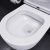 картинка DX86C1700SC Sirius подвесной унитаз безободковый с сиденьем микролифт от магазина Сантехстрой