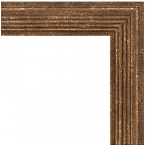 картинка Зеркало Evoform Definite 73х53 BY 0794 в багетной раме - Сухой тростник 51 мм от магазина Сантехстрой