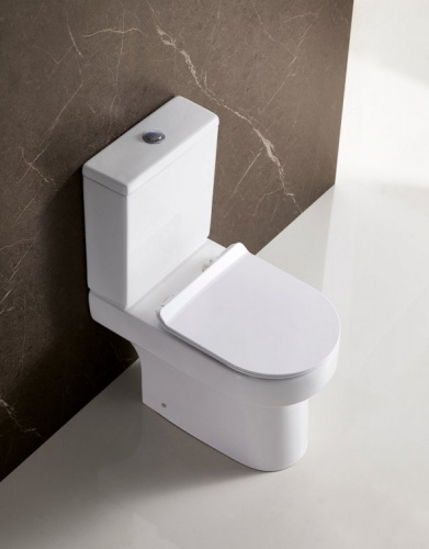 картинка Унитаз компакт BelBagno Norma BB339CPR без бачка и сиденья от магазина Сантехстрой