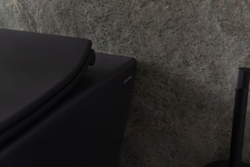 картинка Чаша подвесного унитаза Allen Brau Reality 4.32006.31 черный матовый от магазина Сантехстрой