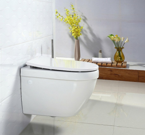 картинка Сиденье для унитаза BelBagno BB2031SC Белое с Микролифтом от магазина Сантехстрой