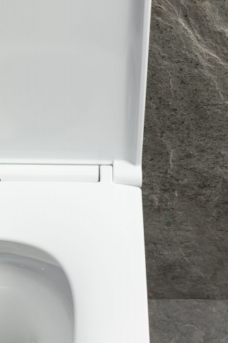 картинка Чаша подвесного унитаза Allen Brau Priority Tornado 4.31009.20 белый глянец от магазина Сантехстрой