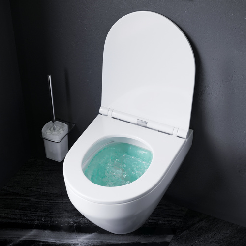 картинка C701700WH Spirit V2.0 подвесной унитаз FlashClean от магазина Сантехстрой