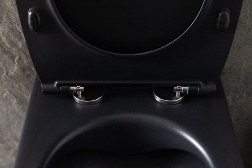 картинка Чаша подвесного унитаза Allen Brau Reality 4.32006.31 черный матовый от магазина Сантехстрой