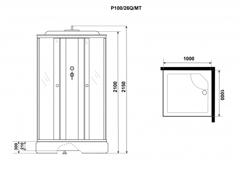 картинка Душевая кабина Niagara p100/26q/mt от магазина Сантехстрой