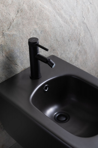 картинка Биде подвесное Allen Brau Liberty 4.33010.31 черный матовый от магазина Сантехстрой