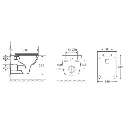 картинка Унитаз подвесной Azario Pavia 550х350х375 безободковый с сидением микролифт (AZ-2005) от магазина Сантехстрой