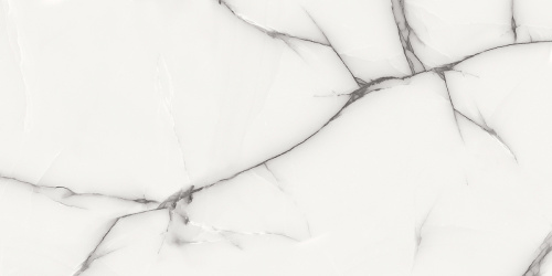 картинка Плитка керамогранитная AZARIO ONYX GREY 60х120 Glossy (P3211112138G) от магазина Сантехстрой