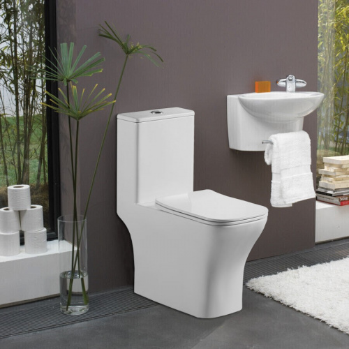картинка Унитаз моноблок Azario Lodi 665x350x750 напольный, горизонтальный слив, сиденье дюропласт микролифт (AZ-8617) от магазина Сантехстрой