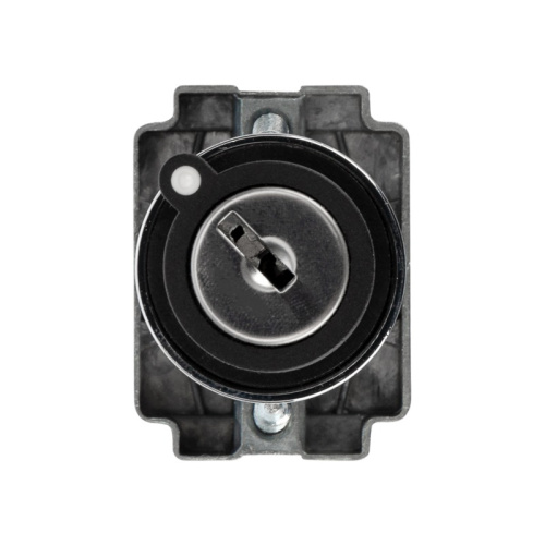 картинка Переключатель BD21 2P с замком NO от магазина Сантехстрой