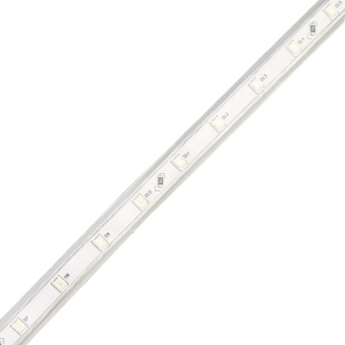картинка LED лента 220 В,  10х7 мм,  IP67, SMD 2835, 60 LED/m,  цвет свечения синий,  бухта 100 м от магазина Сантехстрой