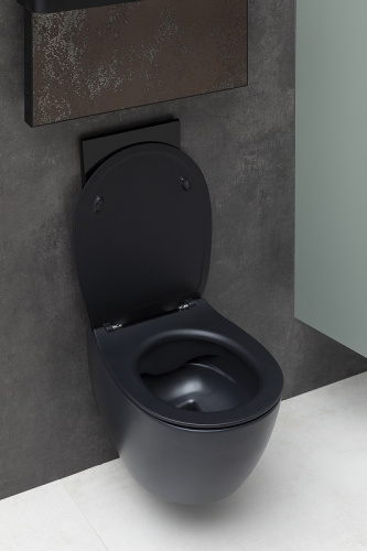 картинка Унитаз Allen Brau Fantasy 4.11004.31 подвесной Черный матовый без сиденья от магазина Сантехстрой