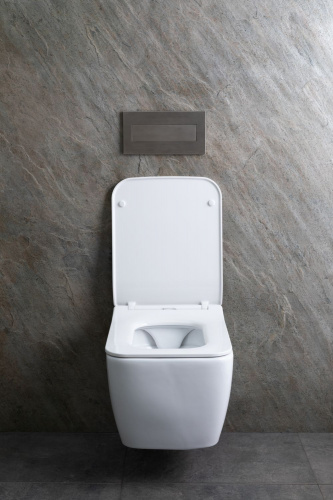 картинка Чаша подвесного унитаза Allen Brau Liberty 4.33007.20 белый от магазина Сантехстрой