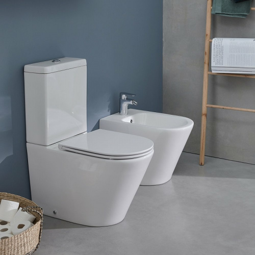 картинка Биде Jacob Delafon Rodin+ EBJ0002-00 Белое от магазина Сантехстрой