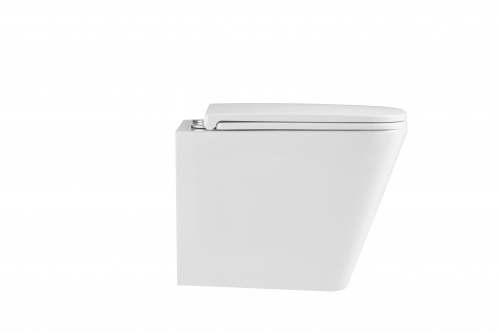 картинка Подвесной унитаз безободковый Terminus Ватикан 490х340 белый от магазина Сантехстрой