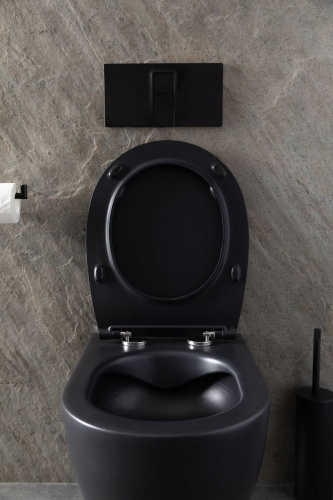 картинка Чаша подвесного унитаза Allen Brau Reality 4.32006.31 черный матовый от магазина Сантехстрой