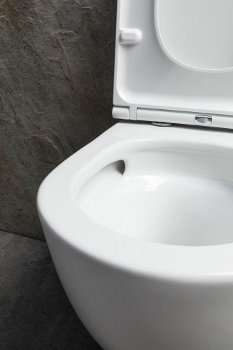 картинка Чаша подвесного унитаза Allen Brau Priority Tornado 4.31008.20 белый глянец от магазина Сантехстрой