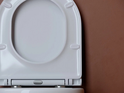 картинка Подвесной унитаз Ceramicanova Uno Rimless CN4007 от магазина Сантехстрой