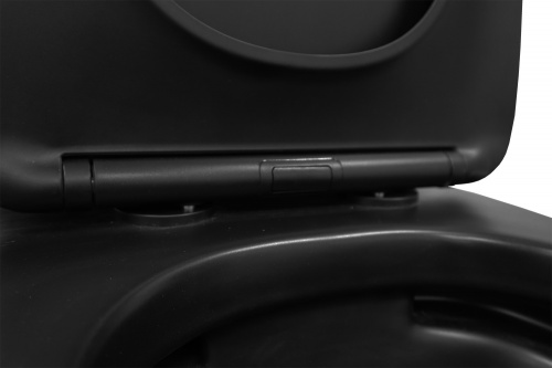 картинка Унитаз-компакт Azario Black Queen 370х605х800 безободковый, с быстросъемным сиденьем микролифт, черный матовый (AZ-8380) от магазина Сантехстрой