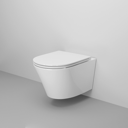 картинка Унитаз Ritz 233K19003RS (530*360*350) подвесной БЕЗОБОДКОВЫЙ, 2 места от магазина Сантехстрой