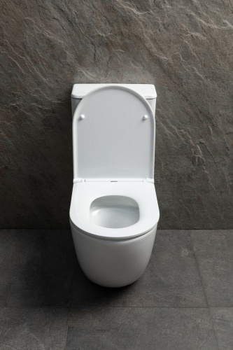 картинка Чаша напольного унитаза Allen Brau Priority Tornado 4.31006.20 белый глянец от магазина Сантехстрой