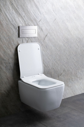 картинка Чаша подвесного унитаза Allen Brau Liberty 4.33007.20 белый от магазина Сантехстрой