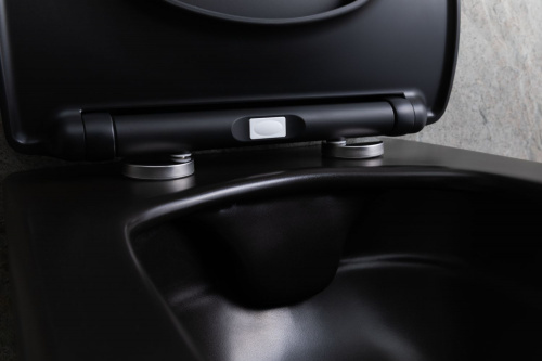 картинка Чаша подвесного унитаза Allen Brau Liberty 4.33007.31 черный матовый от магазина Сантехстрой