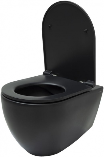 картинка Чаша подвесного унитаза Allen Brau Reality 4.32006.31 черный матовый от магазина Сантехстрой