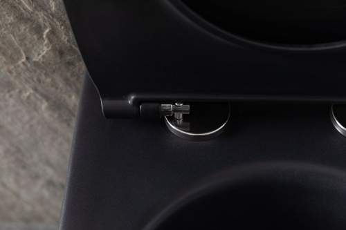 картинка Чаша подвесного унитаза Allen Brau Reality 4.32006.31 черный матовый от магазина Сантехстрой