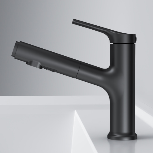картинка F85B02922 X-Joy S, смеситель для раковины с вытяжным изливом, черный от магазина Сантехстрой