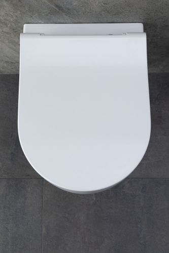 картинка Чаша подвесного унитаза Allen Brau Priority 4.31002.20 белый глянец от магазина Сантехстрой