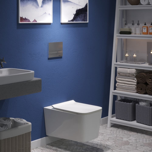 картинка Клавиша смыва Berges Wasserhaus Novum F2 040052 Хром матовый от магазина Сантехстрой