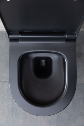 картинка Чаша подвесного унитаза Allen Brau Priority 4.31001.31 черный матовый от магазина Сантехстрой