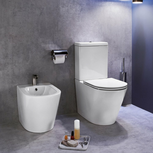 картинка Биде Jacob Delafon Rodin+ EBJ0002-00 Белое от магазина Сантехстрой