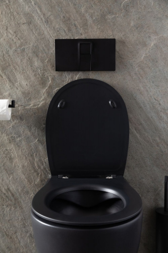 картинка Чаша подвесного унитаза Allen Brau Reality 4.32006.31 черный матовый от магазина Сантехстрой