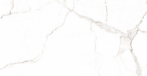 картинка Плитка керамогранитная AZARIO STATUARIO CLASSIC 60х120 Matt (F2020821120M) от магазина Сантехстрой