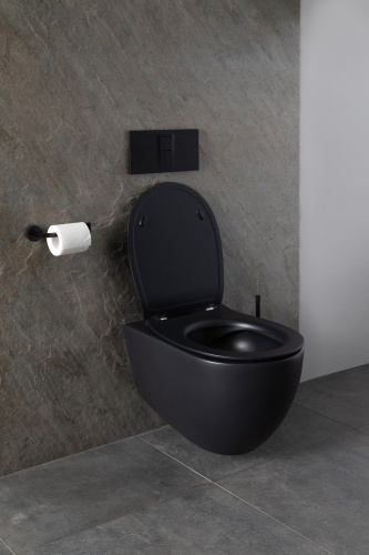 картинка Чаша подвесного унитаза Allen Brau Reality 4.32006.31 черный матовый от магазина Сантехстрой