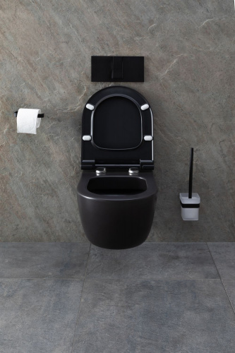 картинка Чаша подвесного унитаза Allen Brau Priority 4.31001.31 черный матовый от магазина Сантехстрой