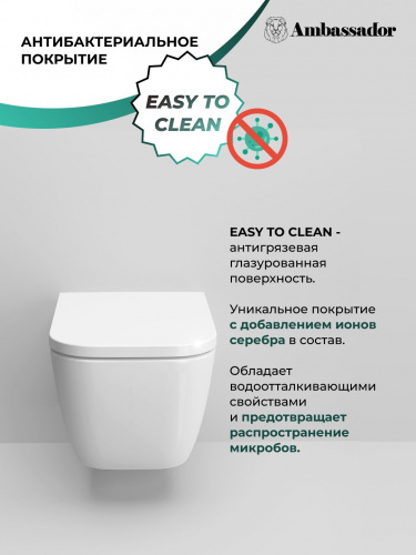 картинка Унитаз Forsa 243K19002RS (510*360*350) подвесной БЕЗОБОДКОВЫЙ, 2 места от магазина Сантехстрой