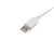 картинка Гирлянда Роса 10 м,  100 LED, USB,  белое свечение NEON-NIGHT от магазина Сантехстрой