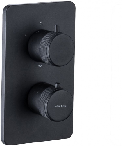 фото смеситель для ванны allen brau priority 5.31314-31 (с внутренней частью) черный матовый