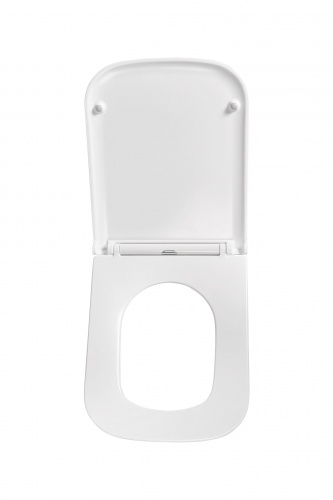 картинка Сиденье для унитаза Terminus Ватикан цвет белый от магазина Сантехстрой