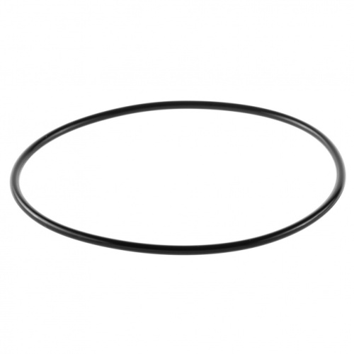 картинка Кольцо уплотнительное для корпусов Гейзер C24 BB прозрачных от магазина Сантехстрой