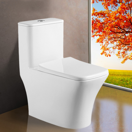 картинка Унитаз-моноблок AZARIO Teano 695x370x740 напольный, горизонтальный слив, сиденье дюропласт микролифт (AZ-8621) от магазина Сантехстрой