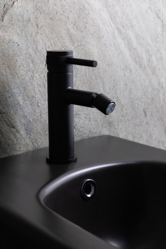 картинка Биде подвесное Allen Brau Liberty 4.33010.31 черный матовый от магазина Сантехстрой