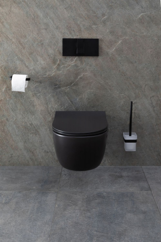 картинка Чаша подвесного унитаза Allen Brau Priority 4.31001.31 черный матовый от магазина Сантехстрой