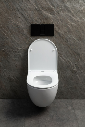 картинка Чаша подвесного унитаза Allen Brau Priority Tornado 4.31009.20 белый глянец от магазина Сантехстрой