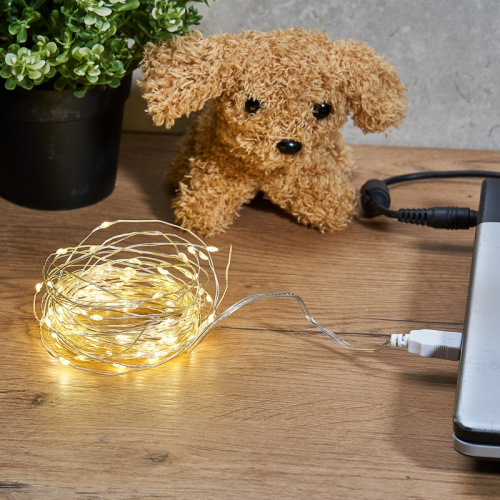 картинка Гирлянда Роса 5 м,  50 LED, USB,  теплое белое свечение NEON-NIGHT от магазина Сантехстрой