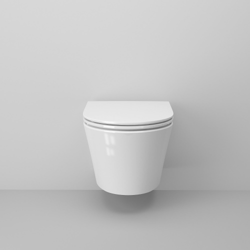 картинка Унитаз Ritz 233K19004RS (475*360*350) подвесной БЕЗОБОДКОВЫЙ, 2 места от магазина Сантехстрой